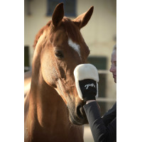 Putzhandschuh Pénélope Schwarz