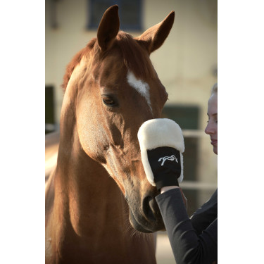 Putzhandschuh Pénélope Schwarz