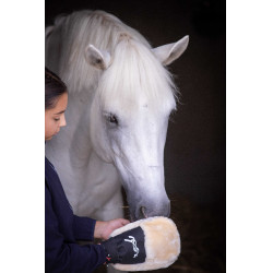 Putzhandschuh Pénélope Schwarz