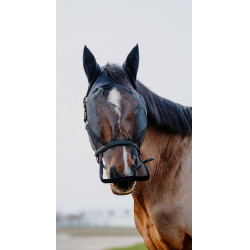 Halfter + UV-Schutzmaske Equithème Schwarz