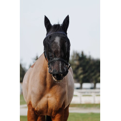 Halfter + Maske Equithème Schwarz