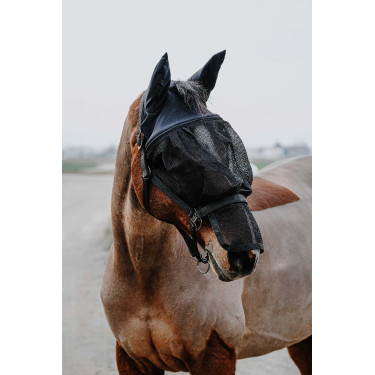 Halfter + Maske Equithème Schwarz
