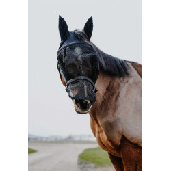 Halfter + Maske Equithème Schwarz
