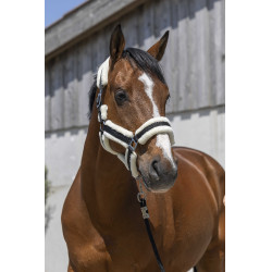 Norton Cosy Halfter Schwarz