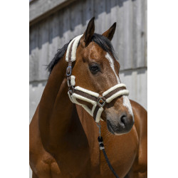 Norton Cosy Halfter Schokolade Braun Norton Cosy Halfter Schokolade Braun