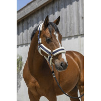 Norton Cosy Halfter Rot