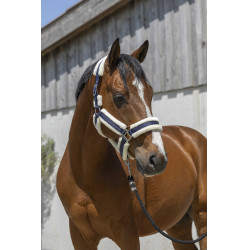 Norton Cosy Halfter Marineblau