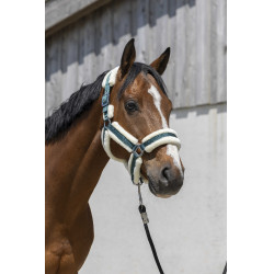 Norton Cosy Halfter Dunkelgrün Gr&uuml;n