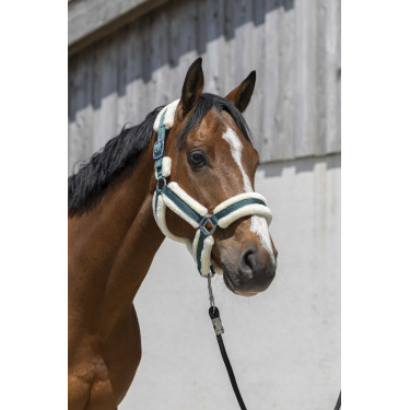 Norton Cosy Halfter Dunkelgrün Gr&uuml;n