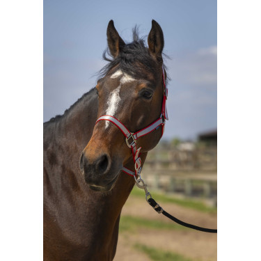 Norton Nylon Soft Halfter Rot