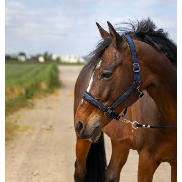 Halfter Equithème Nylon Strass Halfter Equithème Nylon Strass