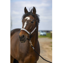 Halfter Equithème Nylon Check