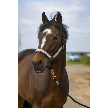 Halfter Equithème Nylon Check