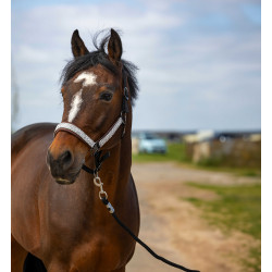 Halfter Equithème Nylon Check