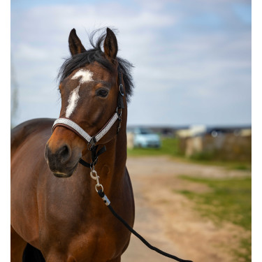 Halfter Equithème Nylon Check