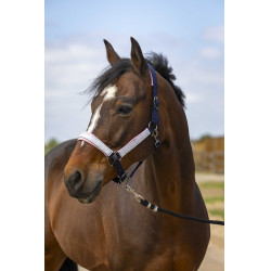 Halfter Equithème Nylon Check
