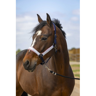 Halfter Equithème Nylon Check