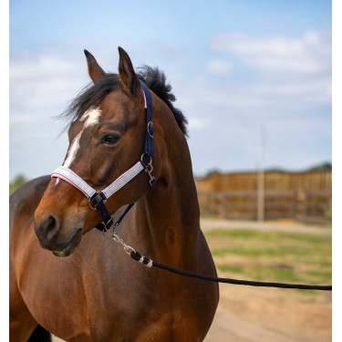 Halfter Equithème Nylon Check