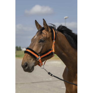 Halfter Equithème Nylon Lammfell Orange / Schwarz