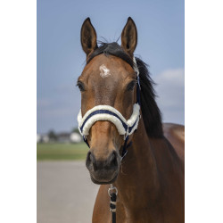 Halfter Equithème Nylon Lammfell Marine / Weiß Blau