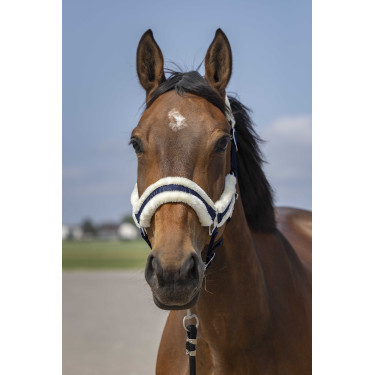 Halfter Equithème Nylon Lammfell Marine / Weiß Blau