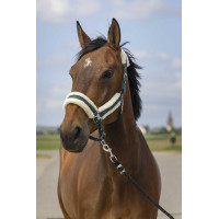 Halfter Equithème Nylon Lammfell Grün / Weiß Gr&uuml;n