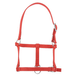 Fohlenhalfter Riding World Rot