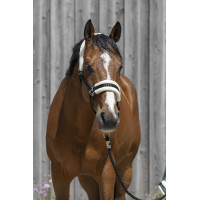 Kopfstück Riding World synthetisches Lammfell Schwarz