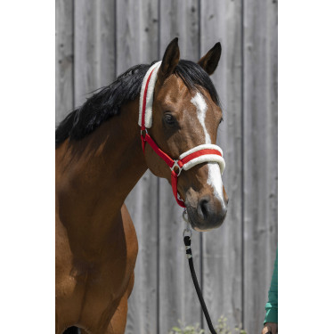 Kopfstück Riding World synthetisches Lammfell Rot