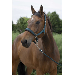 Halfter + Führstrick Norton Large Dunkelgrün Gr&uuml;n