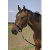 Halfter Equithème Nylon Chevron Schwarz Halfter Equithème Nylon Chevron Schwarz