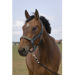 Halfter Equithème Nylon Chevron