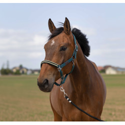 Halfter Equithème Nylon Chevron