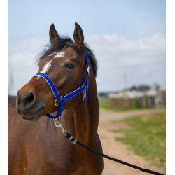 Halfter Equithème Nylon Light Königsblau