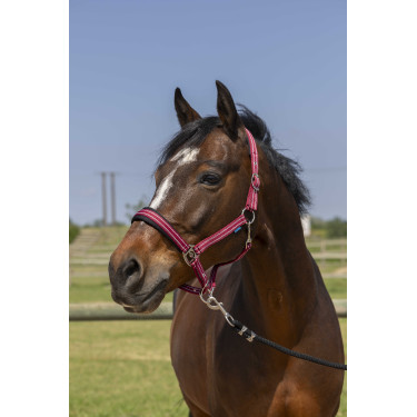 Halfter Norton 4lines Bordeaux