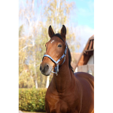 Nylonhalfter Spring Equithème Blau