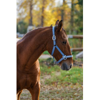 Nylonhalfter Spring Equithème Blau