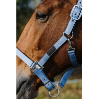 Nylonhalfter Spring Equithème Blau