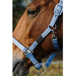 Nylonhalfter Spring Equithème Blau