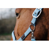 Nylonhalfter Spring Equithème Türkis Blau