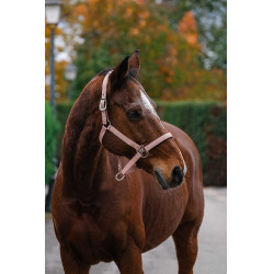 Nylonhalfter Spring Equithème Hellrosa Nylonhalfter Spring Equithème Hellrosa