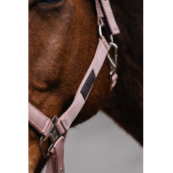 Nylonhalfter Spring Equithème Hellrosa Nylonhalfter Spring Equithème Hellrosa
