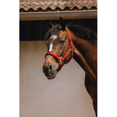 Nylonhalfter Equithème Jacquard Rot Nylonhalfter Equithème Jacquard Rot