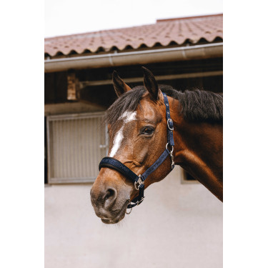 Nylonhalfter Equithème Jacquard Marine Marineblau