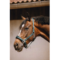 Nylonhalfter Equithème Jacquard Grün Gr&amp;amp;amp;amp;amp;amp;amp;amp;uuml;n