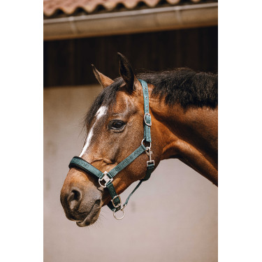 Nylonhalfter Equithème Jacquard Grün Gr&amp;amp;amp;amp;amp;amp;amp;amp;uuml;n