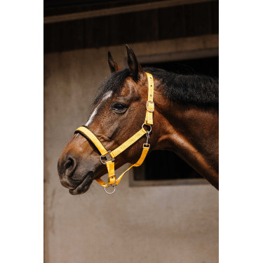 Nylonhalfter Equithème Jacquard Gold