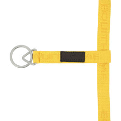 Nylonhalfter Equithème Jacquard Gold