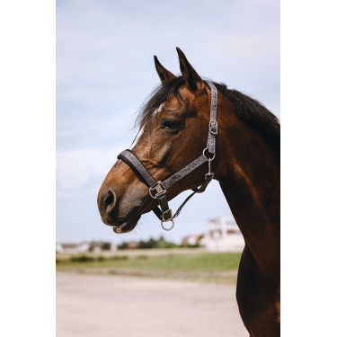 Nylonhalfter Equithème Jacquard Grau