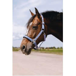 Nylonhalfter Equithème Jacquard Himmelblau